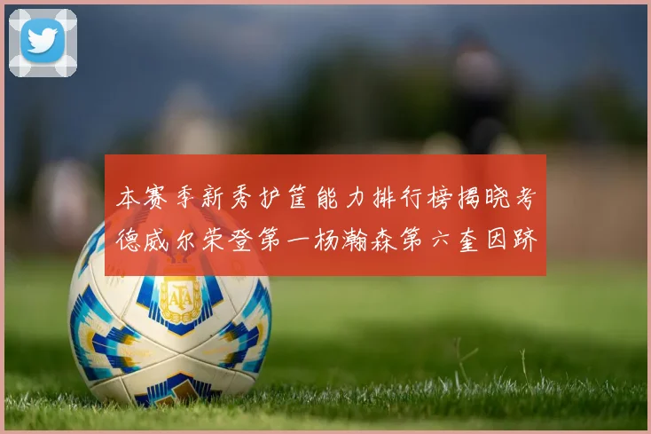 本赛季新秀护筐能力排行榜揭晓考德威尔荣登第一杨瀚森第六奎因跻身前十